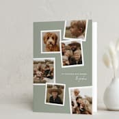 "Blessed Collage" - Holiday Cards in Fir by Olivia Williams - Folded Card
