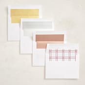 "Festive Mickey frame" - Holiday Photo Mount Cards in Peppermint by Lea Delaveris - Envelope Liner Options
