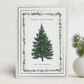 "Decorated Christmas" - Holiday Cards in Frost by Susan Moyal - Front