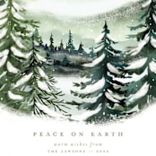 "Peaceful Nature" - Holiday Cards in Seafoam by Petra Kern - Detail