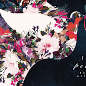 "beautiful peace" - Holiday Cards in Winter by Phrosné Barwood - Close-Up