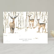 "Enchanted Forest" - Holiday Cards in Halo by Teju Reval - Front