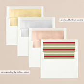 "Santa Flaus" - Holiday Cards in Pine by Baumbirdy - Envelope Liners