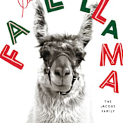 "Fa La Llama" - Holiday Cards in Stockings by Baumbirdy - Close-Up