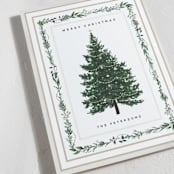 "Decorated Christmas" - Holiday Cards in Frost by Susan Moyal - Detail