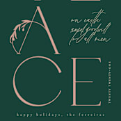 "Peace and Goodwill" - Holiday Cards in Winter Rose by Ana de Sousa - Close-Up