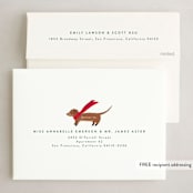 "Dachshund Through the Snows" - Holiday Cards in Mint by Itsy Belle Studio - FREE Recipient Addressing