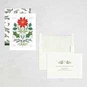 "Botanical" - Holiday Cards in Cream by Paper Raven Co. - Assembled
