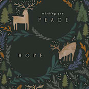 "Reindeer Forest" - Holiday Cards in Noir by Creo Study - Detail