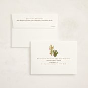 "Howdy Holidays y'all" - Holiday Cards in Candy Cane by Sarah Knight - FREE Recipient Addressing