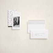 "Fig" - Tall Holiday Cards in Pine Needle by Blustery August - Assembled