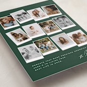 "Snapshots" - Holiday Cards in Pine by Creo Study - Detail