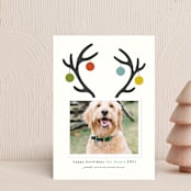 "Happy Howlidays" - Holiday Cards in Frost by Lisa Cersovsky - Front