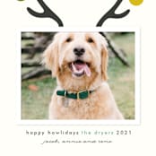 "Happy Howlidays" - Holiday Cards in Frost by Lisa Cersovsky - Detail