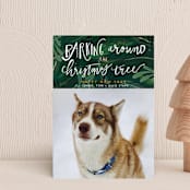 "Barking Fun" - Holiday Cards in Evergreen by Stephanie Given - Front