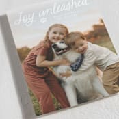 "Unleashed" - Holiday Cards in Snow by Annie Holmquist - Detail