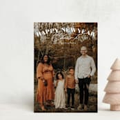 "Peace & Goodwill" - Holiday Cards in Cotton by Michelle Taylor - Front