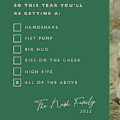 "All of the Above" - Holiday Cards in Santa’s Underpants by Hudson meet Rose - Detail