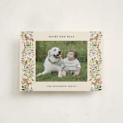 "Highlands" - Holiday Cards in Cornflower by Sarah Knight - Front