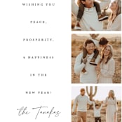 "Peace, Prosperity, Happiness" - Holiday Cards in Snow by Brooke Chandler - Detail