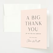 "big celebration, tiny addition" - Baby Shower Thank You Cards in Blush by Sara Hicks Malone - Front