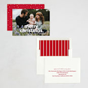 "Simply the cutest" - Holiday Cards in Arctic by Lea Delaveris - Assembled