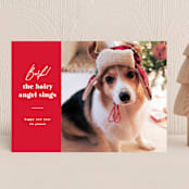 "Barking holiday" - Holiday Cards in Santa Suit by Creo Study - Front