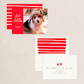 "Barking holiday" - Holiday Cards in Santa Suit by Creo Study - Assembled