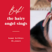 "Barking holiday" - Holiday Cards in Santa Suit by Creo Study - Detail