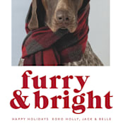 "Furry + Bright" - Holiday Cards in Cranberry by Angela Thompson - Detail
