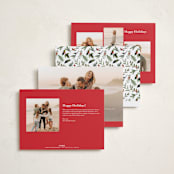 "Classic Greenery" - Holiday Cards in Peppermint by Susan Moyal - Back of Card Options