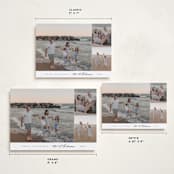 "Elegant Trio" - Holiday Cards in Snow by Nicole Walsh - Formats Available