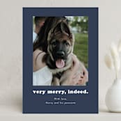 "Indeed" - Holiday Cards in Midnight by Kristen Knechtel - Front