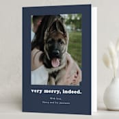 "Indeed" - Holiday Cards in Midnight by Kristen Knechtel - Folded Card
