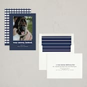"Indeed" - Holiday Cards in Midnight by Kristen Knechtel - Assembled