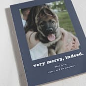 "Indeed" - Holiday Cards in Midnight by Kristen Knechtel - Detail