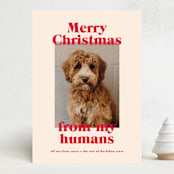 "Happy Howlidays" - Holiday Cards in Cherry by Annie Clark - Front