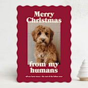 "Happy Howlidays" - Holiday Cards in Pomegranate by Annie Clark - Front