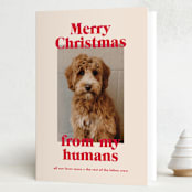 "Happy Howlidays" - Holiday Cards in Cherry by Annie Clark - Folded Card