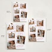 "Personal Note" - Holiday Cards in Poinsettia by Owl and Toad - Formats Available