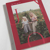 "Joy Border" - Holiday Cards in Poinsettia by Brianne Larsen - Detail