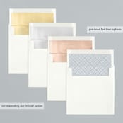 "The Big Picture" - Holiday Cards in Winter by Minted - Envelope Liners