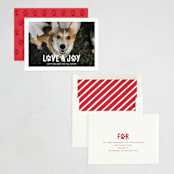 "Puppy Love and Joy" - Holiday Cards in Snow by Hooray Creative - Assembled