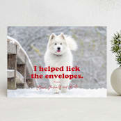 "Helping" - Holiday Cards in Chewed Stocking by Hudson meet Rose - Front