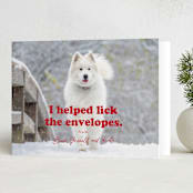 "Helping" - Holiday Cards in Chewed Stocking by Hudson meet Rose - Folded Card