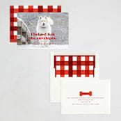 "Helping" - Holiday Cards in Chewed Stocking by Hudson meet Rose - Assembled
