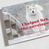 "Helping" - Holiday Cards in Chewed Stocking by Hudson meet Rose - Detail