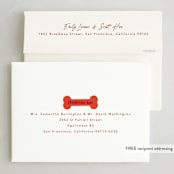 "Helping" - Holiday Cards in Chewed Stocking by Hudson meet Rose - FREE Recipient Addressing