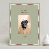 "Wuff" - Holiday Cards in Sage by Anne Ciotola - Front