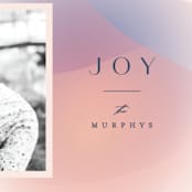 "Moda" - Holiday Cards in Blush by Carly Reed Walker - Detail